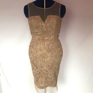 BCBGMaxazria fitted lace dress